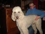 Miller - dog
